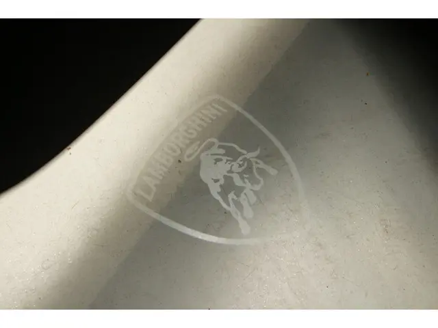 Lamborghini Urus 4.0 V8 2019 Benzine 29