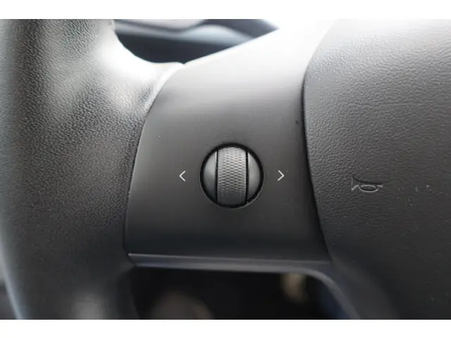 Tesla Model 3 Performance AWD 75 kWh 2019 Elektrisch 26