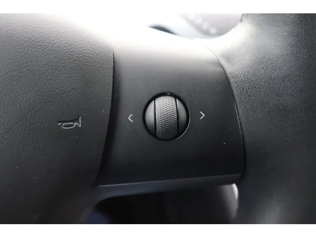 Tesla Model 3 Long Range RWD 75 kWh 2019 Elektrisch 22