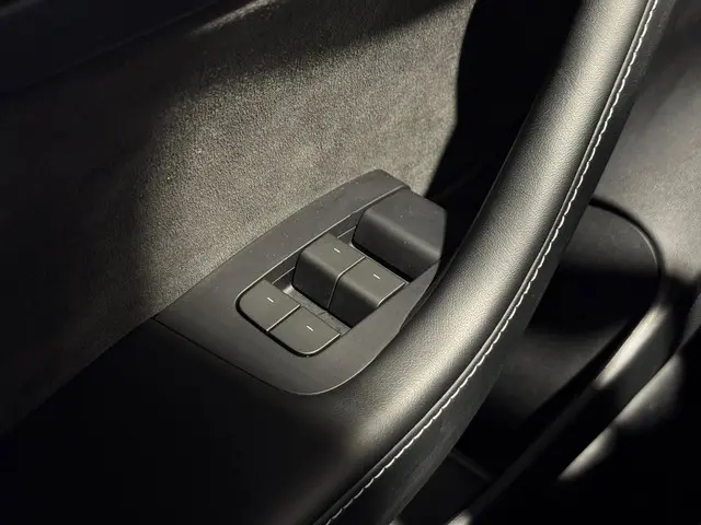 Tesla Model 3 Standard RWD Plus 60 kWh 2022 Elektrisch 30