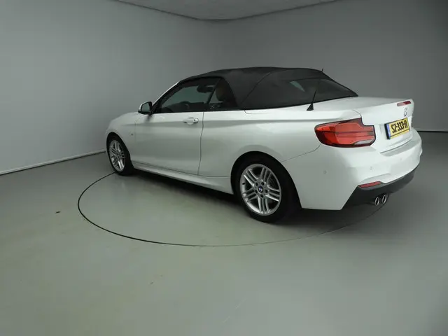 BMW 2 Serie Cabrio 220i 2018 Benzine 53