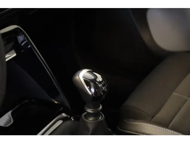 Citroën C3 Turbo 100 Max 2025 Benzine 31