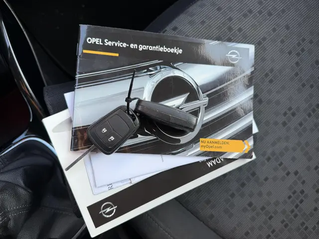 Opel ADAM 1.0 Turbo Glam 2015 Benzine 21