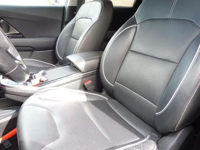 Kia e-Niro ExecutiveLine 64 kWh 2020 Elektrisch 3