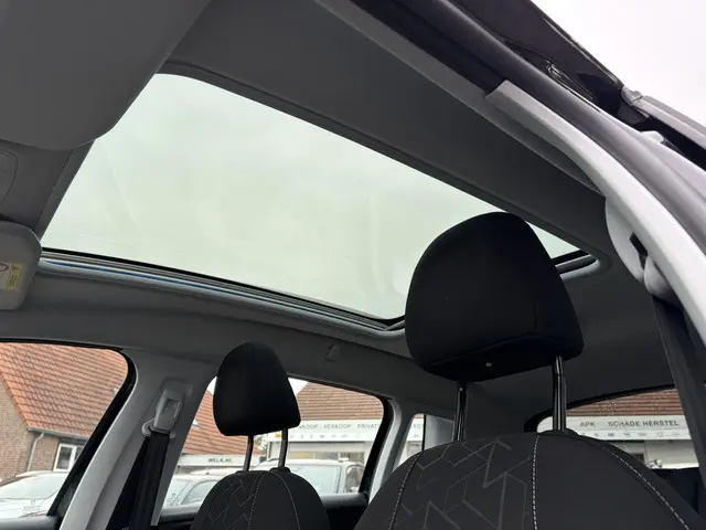 Peugeot 2008 1.2 PureTech Blue Lion 2018 Benzine 24