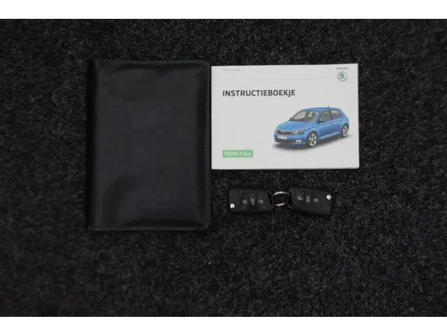 Škoda Fabia 1.0 Sprint 2016 Benzine 42