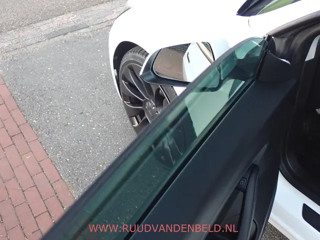 Tesla Model 3 Performance AWD 75kWh 2020 Elektrisch 12