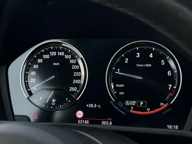 BMW X2 SDrive20i M-Sport High Executive 2020 Benzine 15