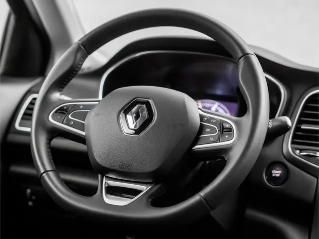 Renault Mégane 1.3 TCe Sport 2019 Benzine 18