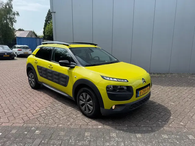 Citroën C4 Cactus 1.6 BlueHDi Business 2015 Diesel 18