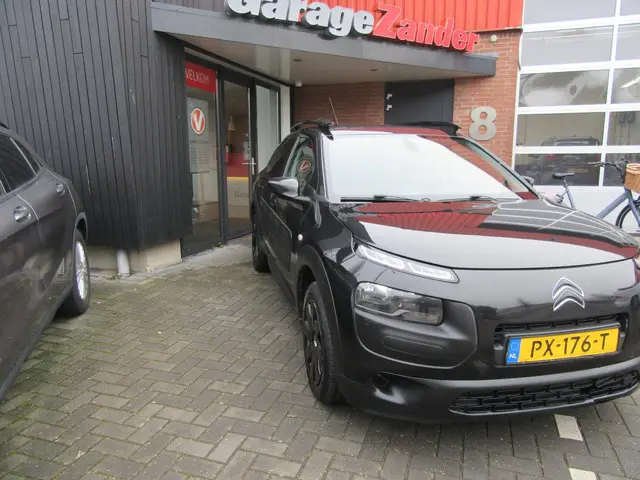 Citroën C4 Cactus 3