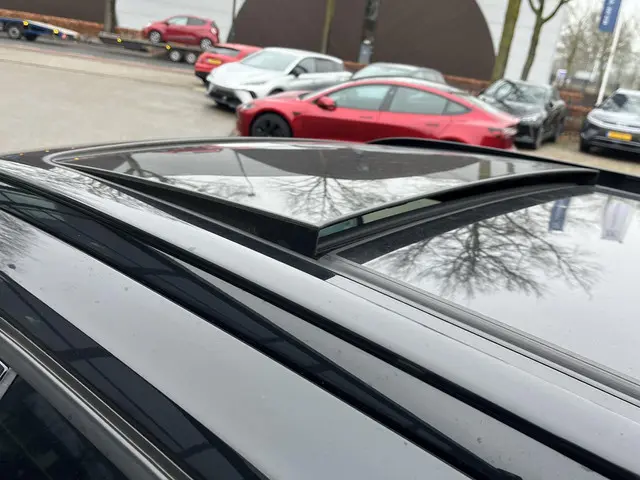 Volvo XC40 Recharge Pro 2022 Elektrisch 25