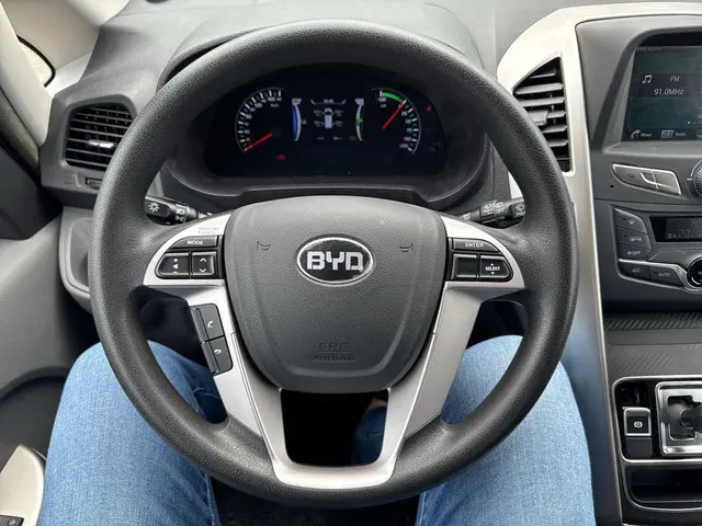 BYD ETP3 Standard 45 kWh 2025 Elektrisch 7