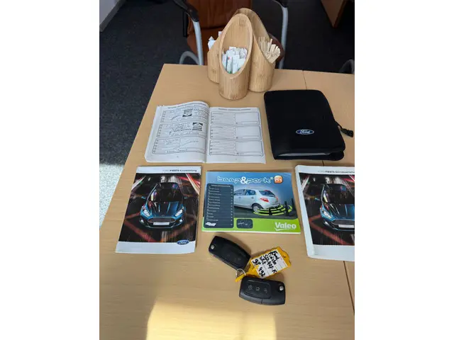 Ford Fiesta 1.25 2017 Benzine 24