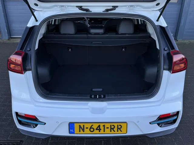 Kia e-Niro DYNAMICPLUSLINE 64 KWH 2021 Elektrisch 14