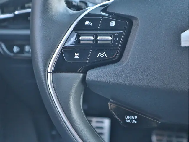 Kia Niro EV ExecutiveLine 64.8 kWh 2024 Elektrisch 11