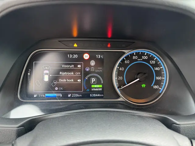 Nissan Leaf e+ Tekna 62 kWh 2019 Elektrisch 30