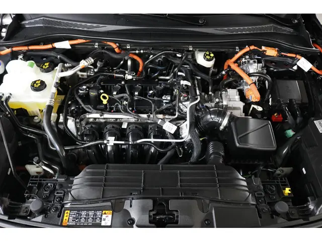 Ford Kuga 2.5 PHEV Vignale 2024 Hybride Benzine 46