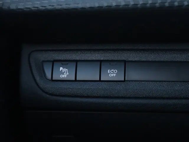 Peugeot 2008 1.2 PureTech GT-Line 2019 Benzine 17