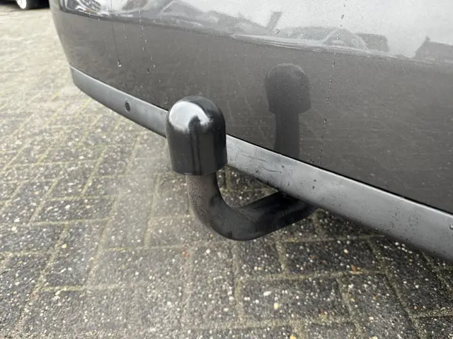 Peugeot 308 1.2 PureTech Blue Lion 2017 Benzine 24