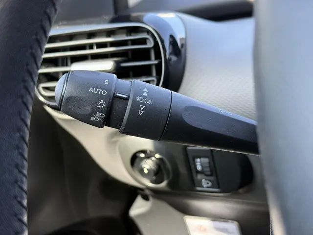 Citroën C4 Cactus 1.2 PureTech Business 2017 Benzine 29