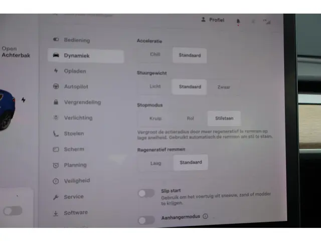 Tesla Model 3 Long Range AWD 75 kWh 2019 Elektrisch 33