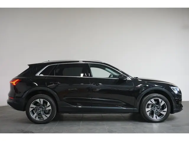 Audi e-tron 55 Quattro Advanced 2019 Elektrisch 58