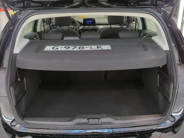 Ford Focus 1.0 EcoBoost Titanium Business 2019 Benzine 11