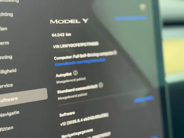 Tesla Model Y RWD 58 kWh FSD 2023 Elektrisch 17