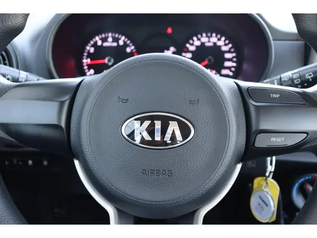 Kia Picanto 1.0 CVVT EconomyPlusLine org.NL 2017 Benzine 19