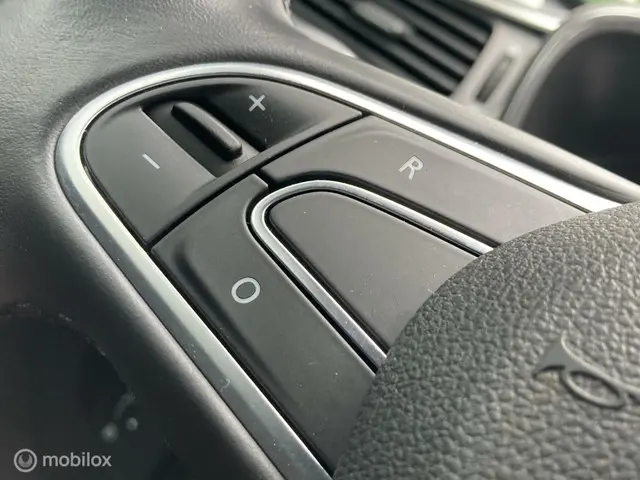 Renault Kadjar 1.3 TCe Intens 2020 Benzine 21