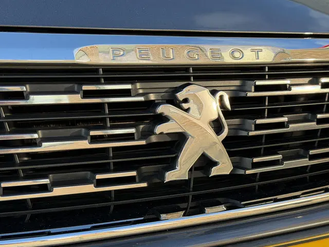 Peugeot 308 1.2 PureTech Allure 2019 Benzine 38