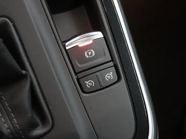 Renault Scénic 1.3 TCe Bose 2018 Benzine 14