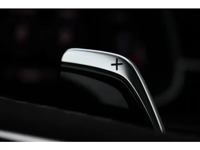 Audi RSQ8 4.0 TFSI quattro 810pk 2022 Benzine 63