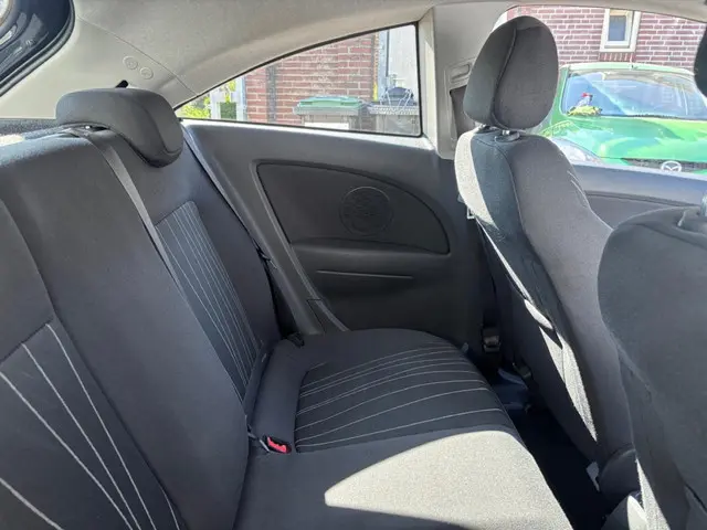 Citroën C4 Cactus 1.2 PureTech Shine 2018 Benzine 13