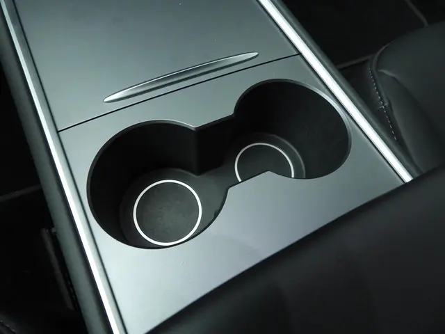 Tesla Model 3 Standard RWD Plus 60 kWh 2023 Elektrisch 23