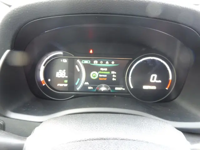 Kia e-Niro ExecutiveLine 64 kWh 2020 Elektrisch 25