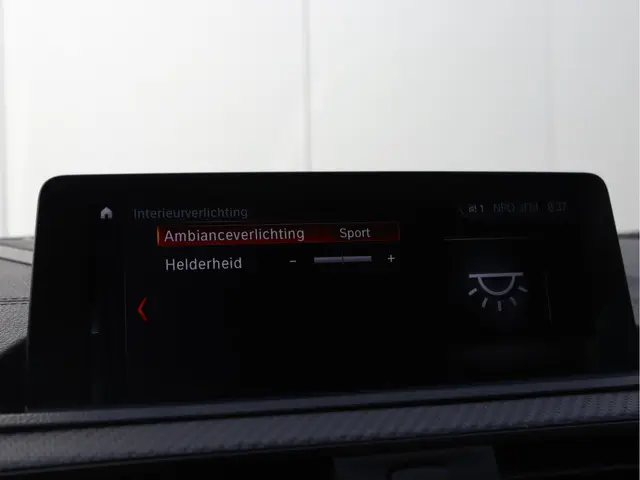 BMW 2 Serie Cabrio 220i High Executive 2021 Benzine 40