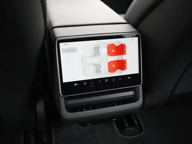 Tesla Model 3 RWD 60 kWh 2024 Elektrisch 24