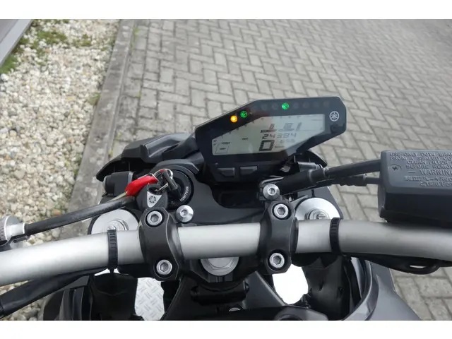 Yamaha MT 09 ABS 2019 Benzine 14