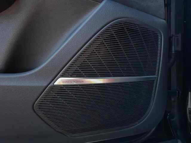 Audi RSQ8 quattro 2020 Benzine 19