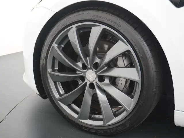 Tesla Model 3 Standard RWD Plus 60 kWh 2021 Elektrisch 14