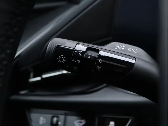 Kia Niro EV ExecutiveLine 64.8 kWh 2022 Elektrisch 39