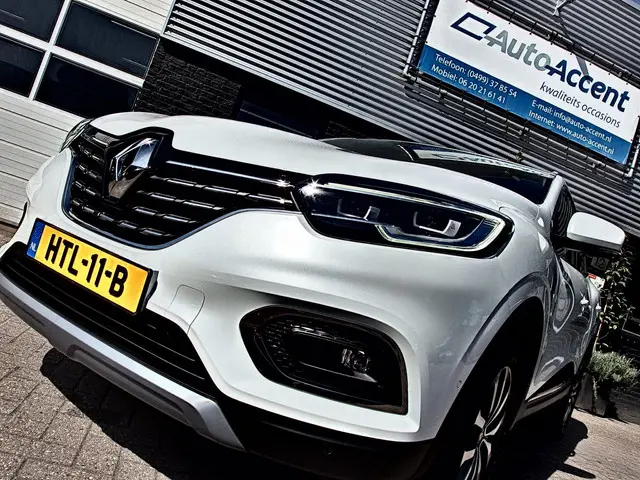 Renault Kadjar 1.3 TCe Intens 2021 Benzine 25