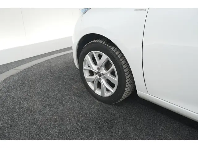Renault ZOE R110 Limited 41 kWh 2018 Elektrisch 18