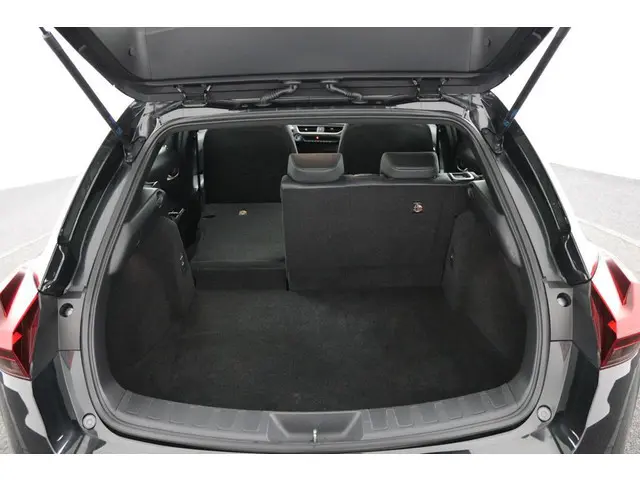 Lexus UX 300e Business 54 kWh 2020 Elektrisch 23