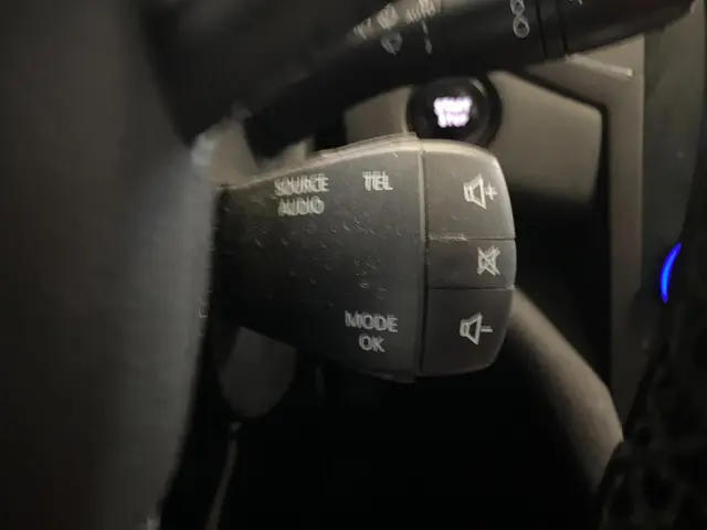 Renault Mégane 1.2 TCe Bose NAVI HUD 132 PK 2016 Benzine 31