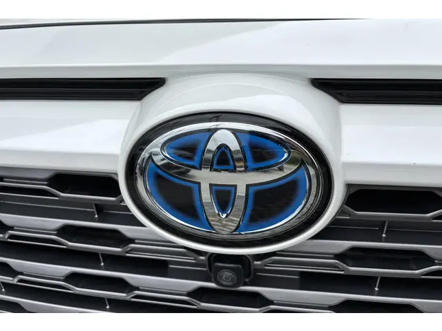 Toyota RAV4 2.5 Hybrid AWD Bi-Tone 2019 Hybride Benzine 5