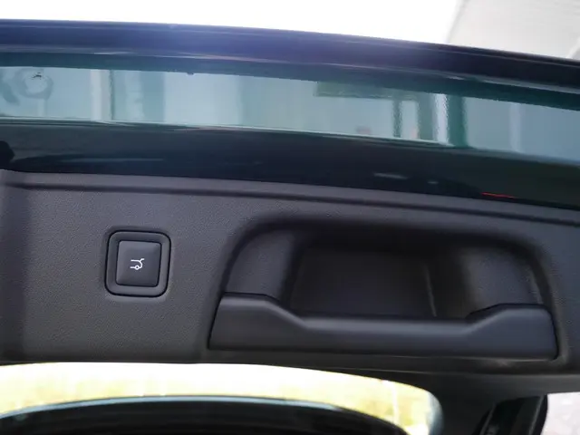 Leapmotor C10 Design 69.9 kWh 2025 Elektrisch 48