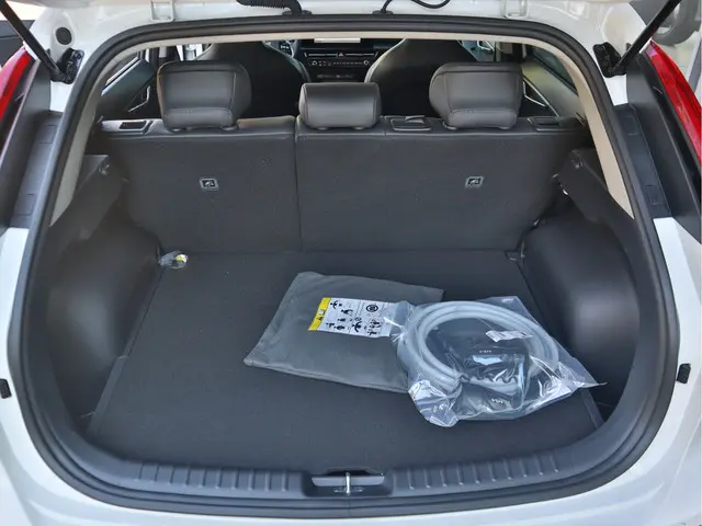Kia Niro EV Edition Advanced 64.8 kWh 2024 Elektrisch 13